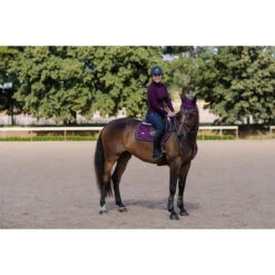 Coltrui Equestrian Stockholm Purple Gold Paars -Stijlvolle Ruiter coltrui equestrian stockholm purple gold paars 1500x1500 153404