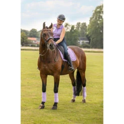 Polo HV POLO HVPFavouritas Mouwloos Paars 17 Polo HV POLO HVPFavouritas Mouwloos Paars -Stijlvolle Ruiter polo hv polo hvpfavouritas mouwloos paars 1500x1500 177299