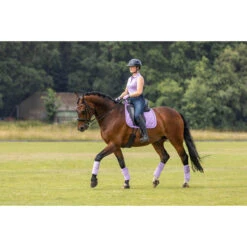 Polo HV POLO HVPFavouritas Mouwloos Paars 18 Polo HV POLO HVPFavouritas Mouwloos Paars -Stijlvolle Ruiter polo hv polo hvpfavouritas mouwloos paars 1500x1500 177300