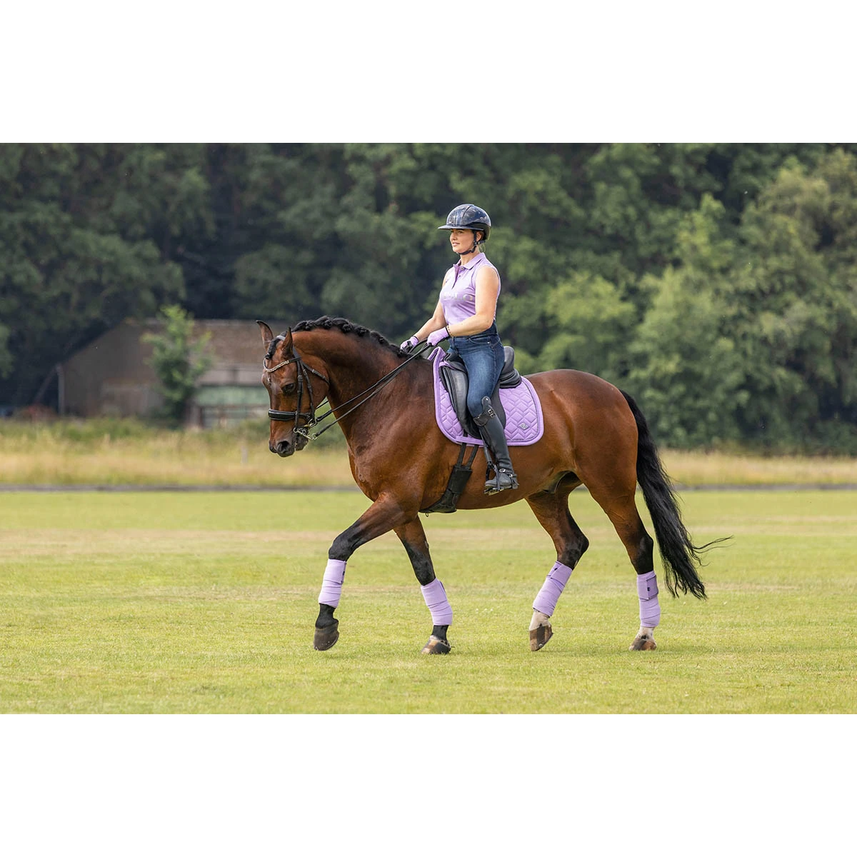 Polo HV POLO HVPFavouritas Mouwloos Paars 10 Polo HV POLO HVPFavouritas Mouwloos Paars - Afbeelding 8