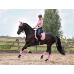 Polo HV POLO HVPGwen Roze -Stijlvolle Ruiter polo hv polo hvpgwen roze 1500x1500 177239