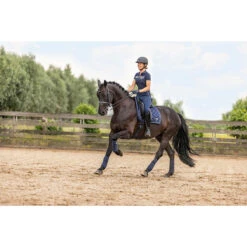 Polo HV POLO HVPHazel Donkerblauw -Stijlvolle Ruiter polo hv polo hvphazel donkerblauw 1500x1500 177250