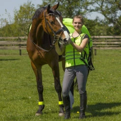 Reflectievest QHP Geel -Stijlvolle Ruiter reflectievest qhp geel 1500x1500 101290