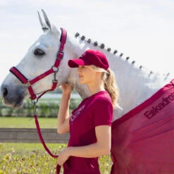 Shirt Eskadron Reflexx Rood -Stijlvolle Ruiter shirt eskadron reflexx rood 1500x1500 178755