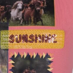 Shirt Horka Jolly Pino Kids Roze -Stijlvolle Ruiter shirt horka jolly pino kids roze 1500x1500 182720