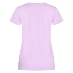 Shirt HV POLO HVPClassic Paars -Stijlvolle Ruiter shirt hv polo hvpclassic paars 1500x1500 177376