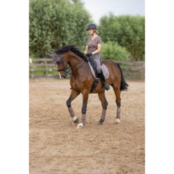 Shirt HV POLO HVPFavouritas Tech Lichtbruin -Stijlvolle Ruiter shirt hv polo hvpfavouritas tech lichtbruin 1500x1500 174452