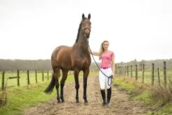 Shirt Pavo Technical Pebbles Roze 8 Shirt Pavo Technical Pebbles Roze -Stijlvolle Ruiter shirt pavo technical pebbles roze 1500x1500 118129