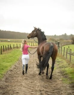 Shirt Pavo Technical Pebbles Roze 9 Shirt Pavo Technical Pebbles Roze -Stijlvolle Ruiter shirt pavo technical pebbles roze 1500x1500 118130