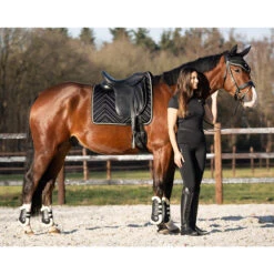 Shirt QHP Menton Zwart -Stijlvolle Ruiter shirt qhp menton zwart 1500x1500 186409