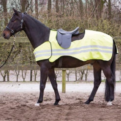 Voorkant -Stijlvolle Ruiter uitrijdeken harry s horse reflective reflectie 1500x1500 111484