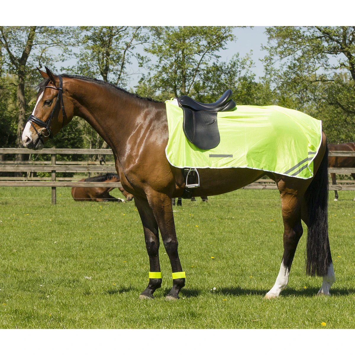 Voorkant -Stijlvolle Ruiter uitrijdeken reflectie qhp